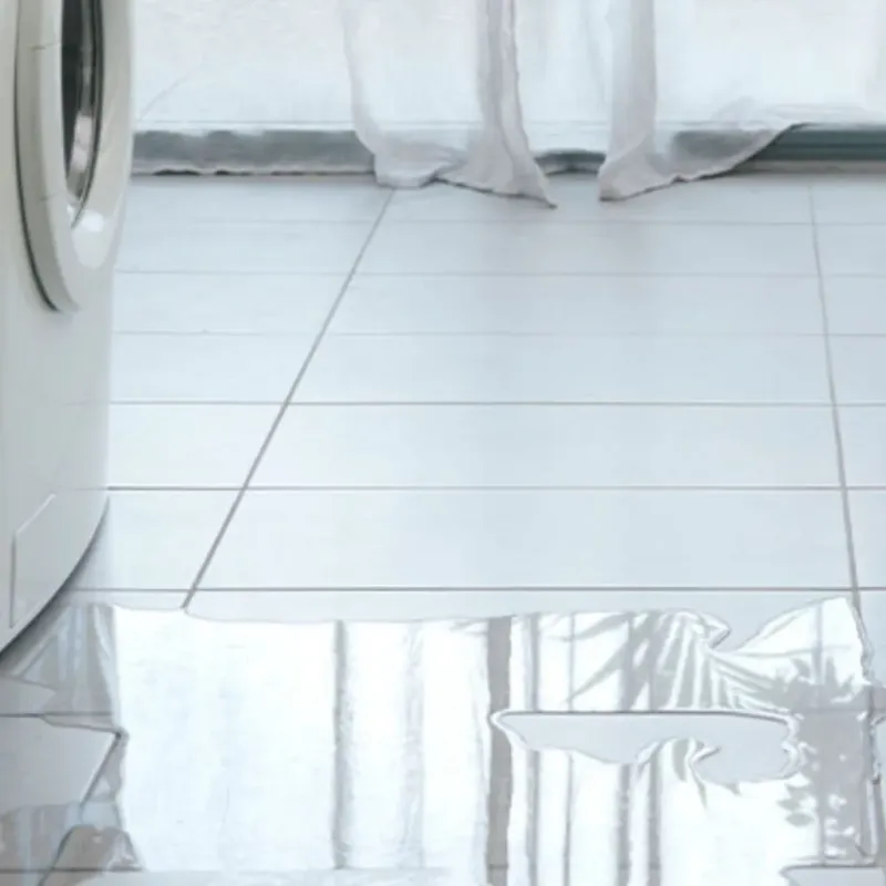 Appliance Leak Cleanup in Plymouth, NC