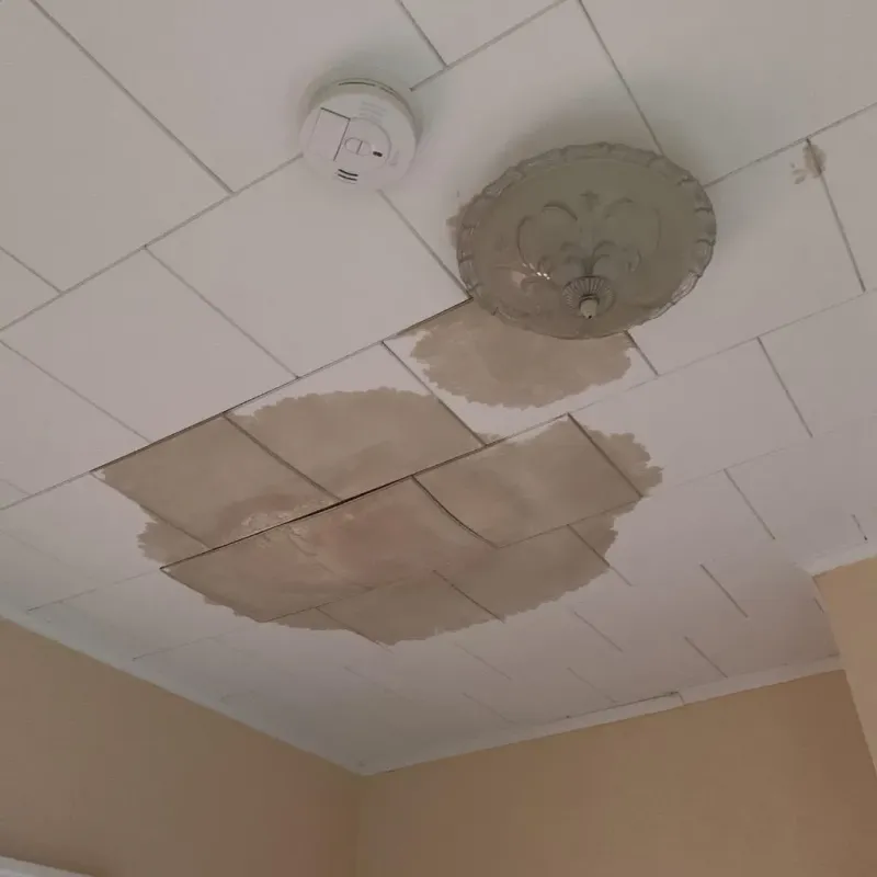 Ceiling Water Damage Repair in Plymouth, NC