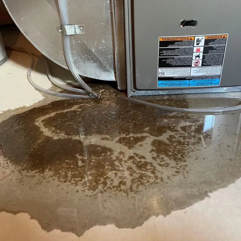Pipe Burst and Leak Restoration in Plymouth, NC