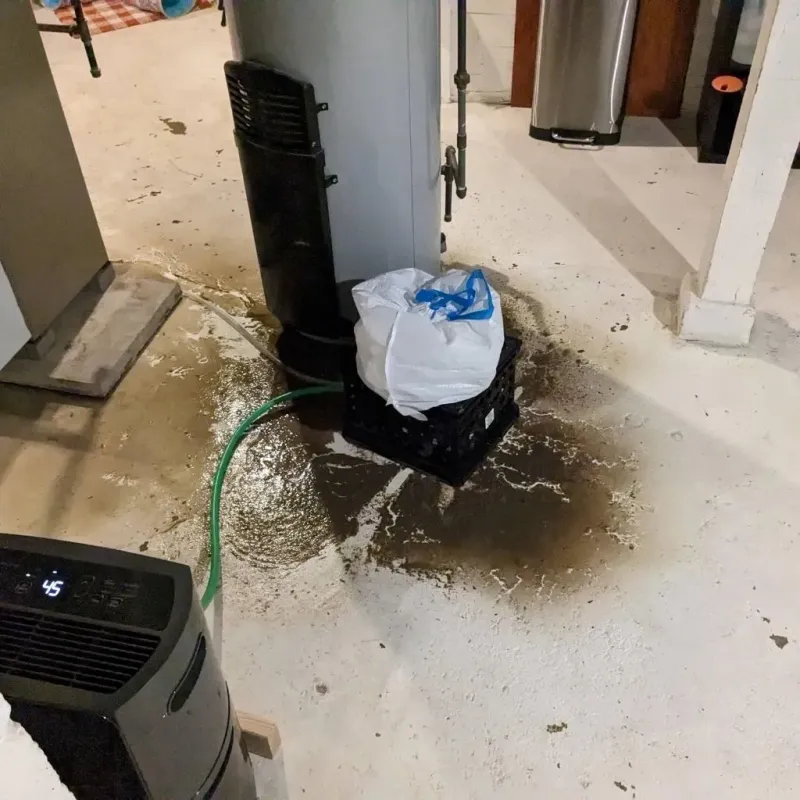 Sewage Backup Cleanup Service in Plymouth, NC